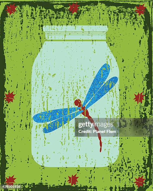 dragonfly in a jar - dragonfly stock illustrations