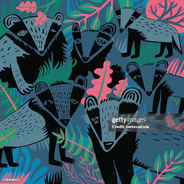 badgers in nature - animal markings stock illustrations