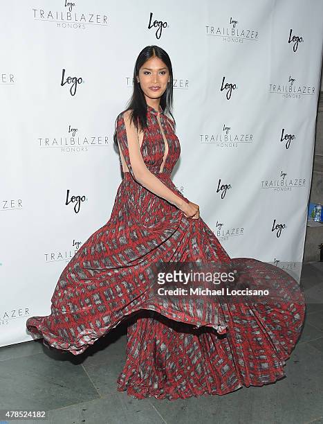 Model Geena Rocero attends Logo's "Trailblazer Honors" 2015 at the Cathedral of St. John the Divine on June 25, 2015 in New York City.