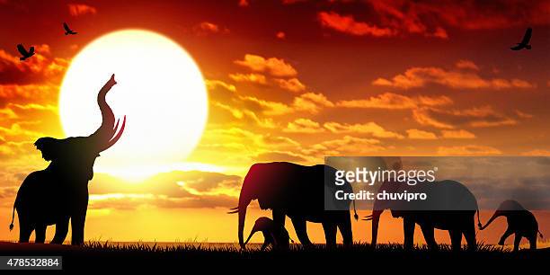 illustrations, cliparts, dessins animés et icônes de les éléphants d'afrique sauvage paysage au coucher du soleil - cubs banner