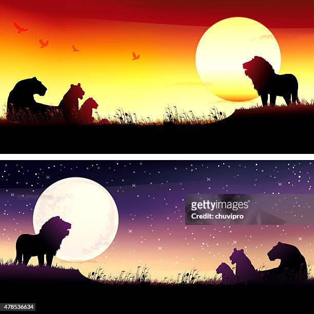 afrikanische löwen-safari mit silhouetten - savanne stock-grafiken, -clipart, -cartoons und -symbole