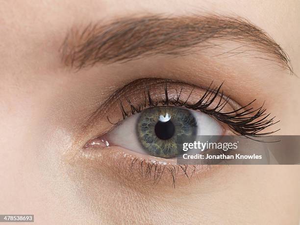 blue female eye, close up - eyes extreme close up stock pictures, royalty-free photos & images