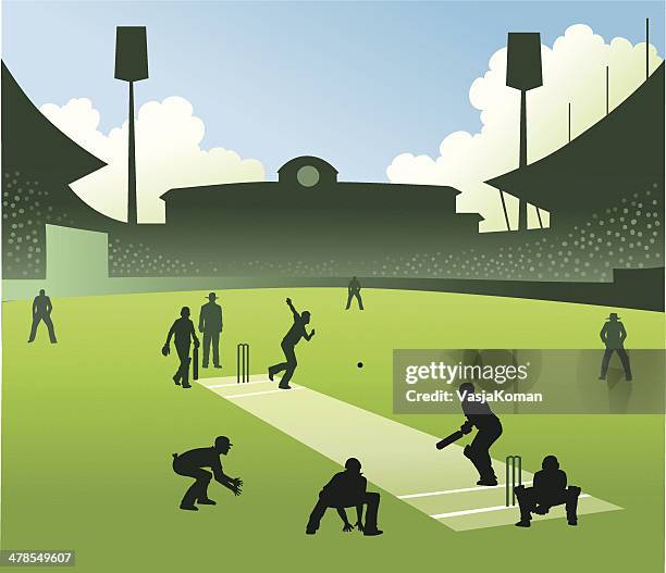 ilustraciones, imágenes clip art, dibujos animados e iconos de stock de test match de críquet - campo de críquet