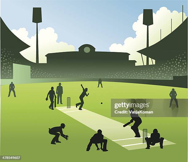 bildbanksillustrationer, clip art samt tecknat material och ikoner med test match in cricket - kricketplan