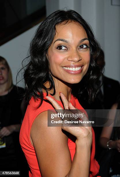 Actress Rosario Dawson attends BAMcinemaFest 2015 - "Kids" 20th Anniversary Screening at BAM Peter Jay Sharp Building on June 25, 2015 in New York...