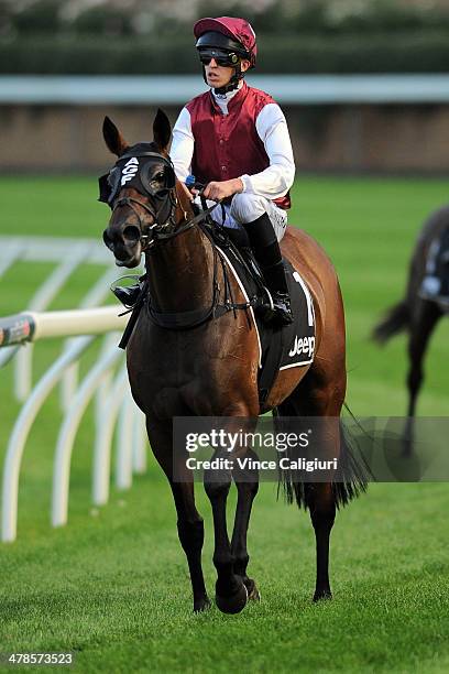 Jay Cartwright Racing Driver Josh Cartwright riding Crucial after winning Race 2, the Newmarket ...