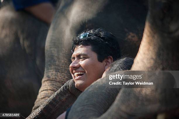 Patron laughs as two elephants pose with him for a picture at the Mae Sa Elephant Park. Each year on March 13, the Thai people celebrate National...
