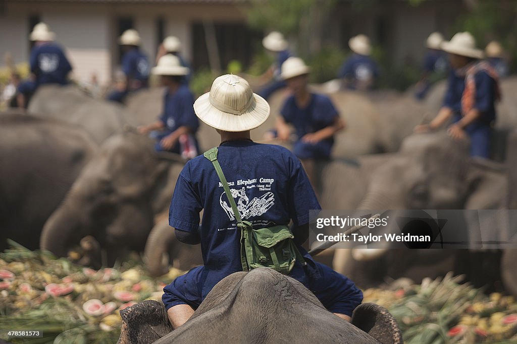 Thai National Elephant Day