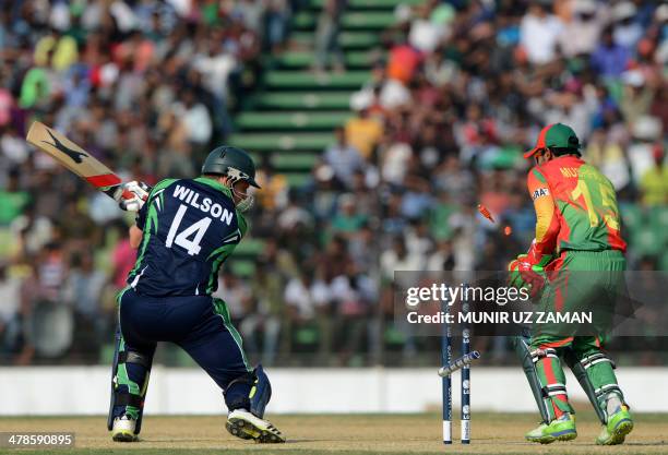 Ireland cricketer Gary Wilson is bowled as Bangladesh wicketkeeper Mushfiqur Rahim looks on during the ICC Twenty20 World Cup warm up cricket match...