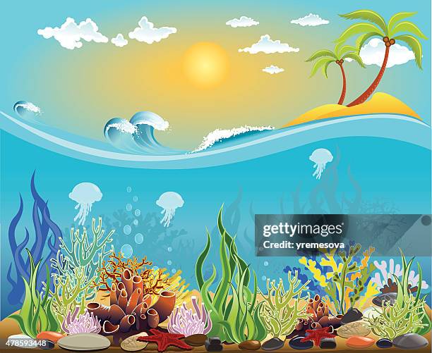 illustrazioni stock, clip art, cartoni animati e icone di tendenza di fondo del mare illustrazione - barriera corallina