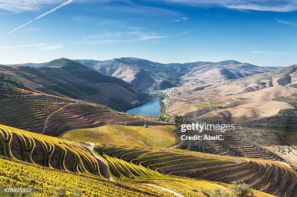 douro valley - vila real district portugal stockfoto's en -beelden