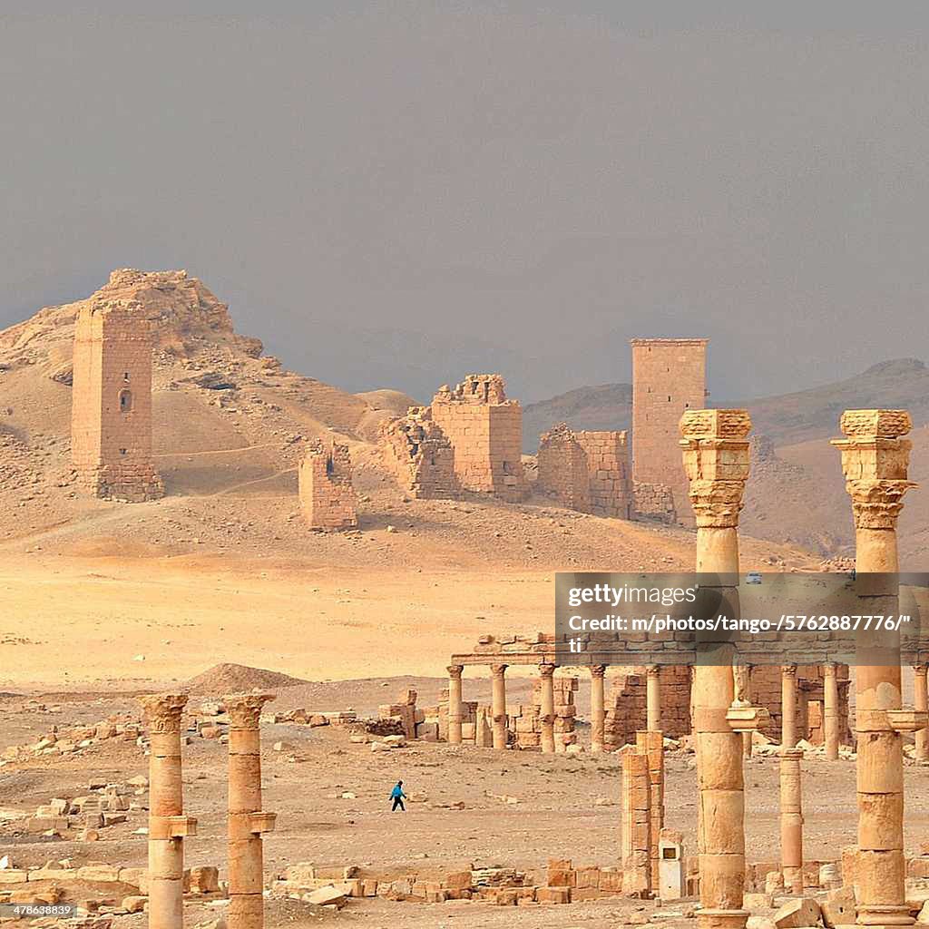 305 Palmyra (Syria)