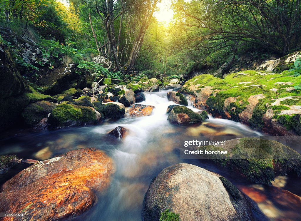 Mountain Stream