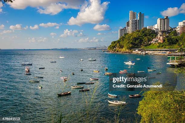 porto da barra in salvador. - salvador bahia stock-fotos und bilder