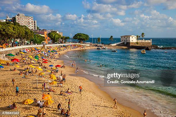 beach in salvador. - salvador bahia stock pictures, royalty-free photos & images