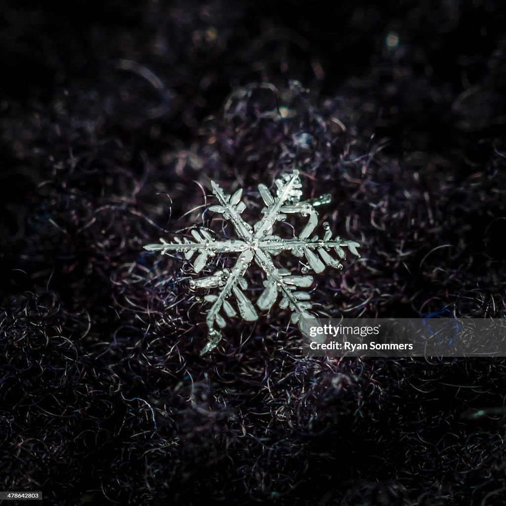 Snowflake #1