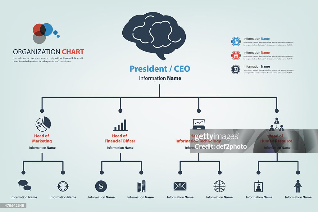 Modern And Smart Organization Chart High-Res Vector Graphic - Getty Images