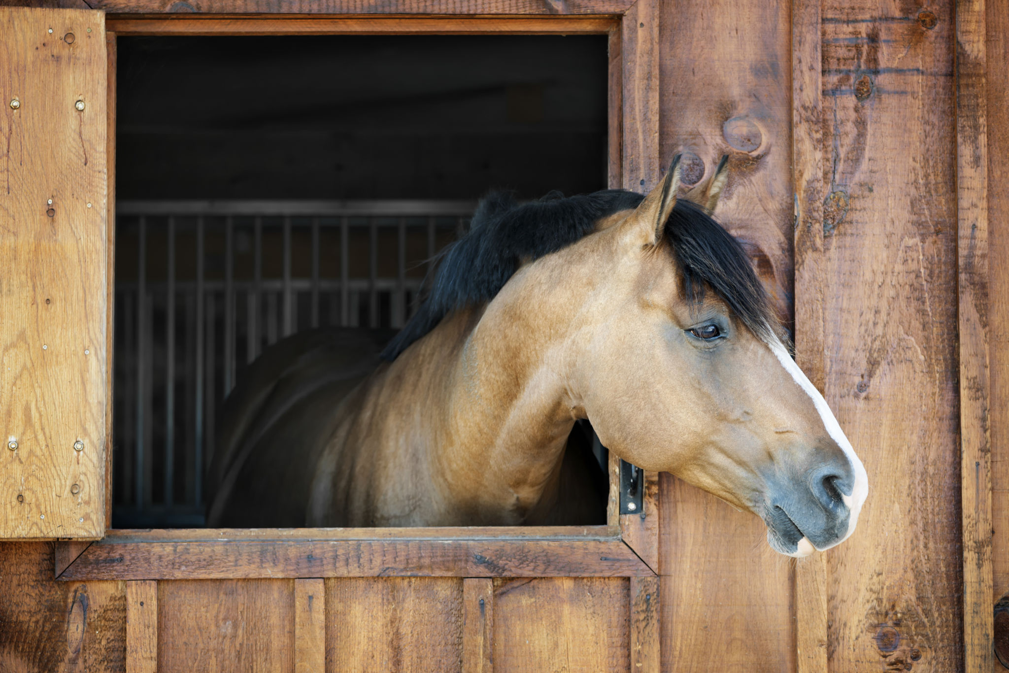 horse barn