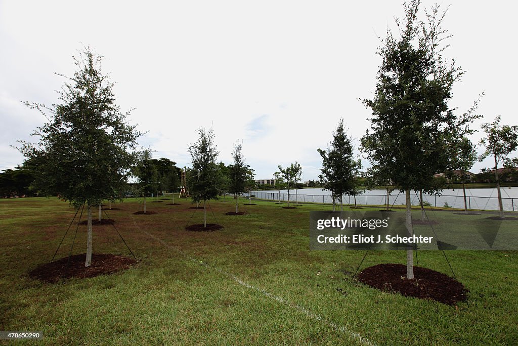 2015 NHL Draft - Legacy Tree Planting