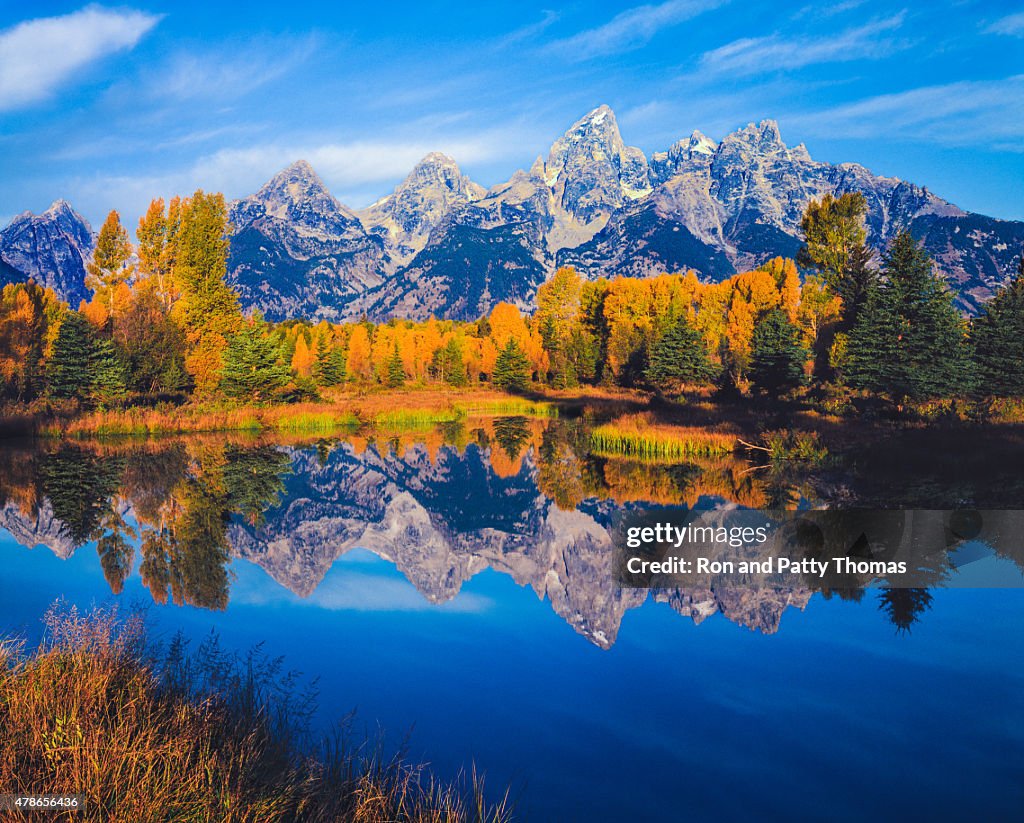 Herbst in der Snake River valley Grand Teton National Park