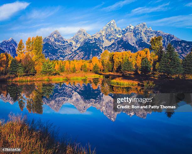 autumn in the snake river valley grand teton national park - jackson hole bildbanksfoton och bilder