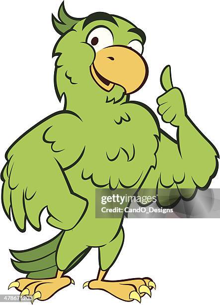 parakeet - thumbs up - parakeet stock illustrations