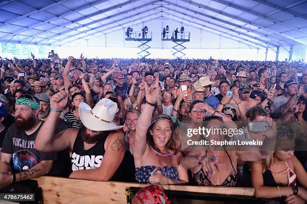 Guests enjoy the Lynyrd Skynyrd performance during day 1 of the Big Barrel Country Music Festival on June 26, 2015 in Dover, Delaware.