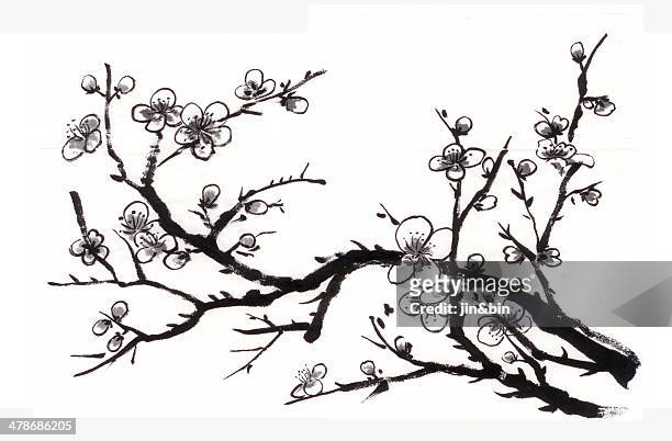 chinese painting plum - plum blossom stock pictures, royalty-free photos & images