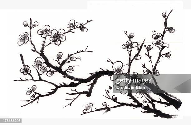 chinese painting plum - plommonträdsblommor bildbanksfoton och bilder