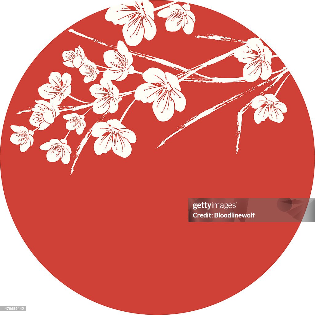Sakura Circle