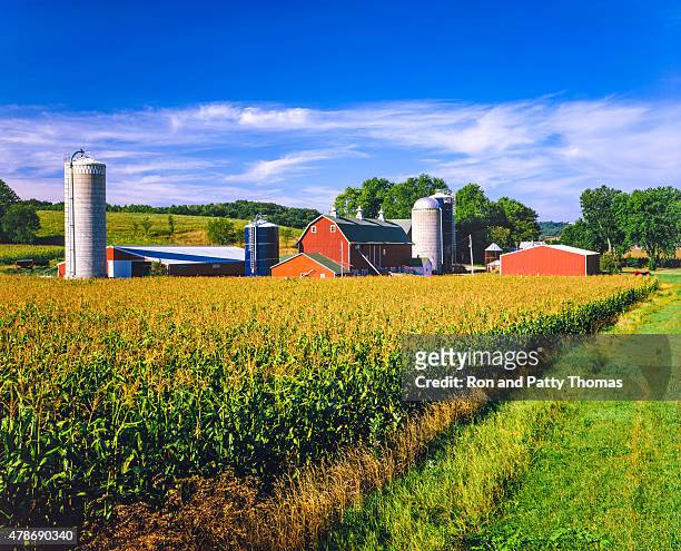 corn crop and iowa farm at harvest time - iowa stock pictures, royalty-free photos & images