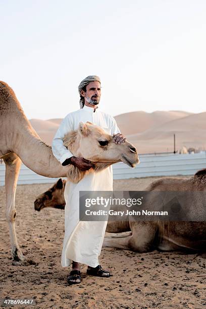 camel herder with camels at camel farm - old abu dhabi stockfoto's en -beelden