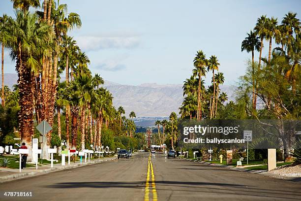 suburban street with palm trees - palm springs california stock-fotos und bilder