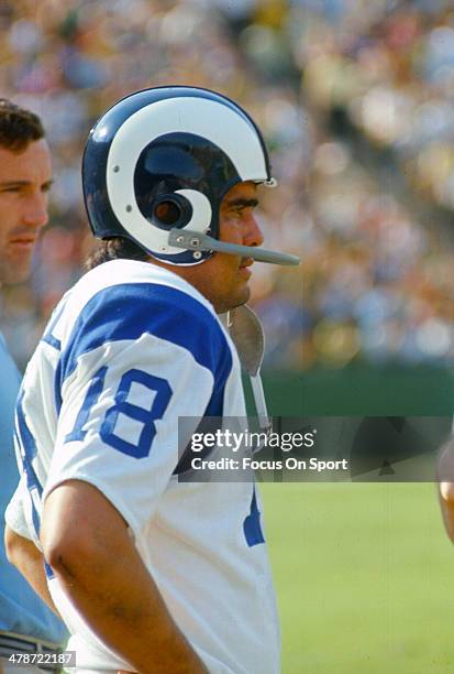 Roman Gabriel of the Los Angeles Rams looks on from the sidelines during an NFL football game circa 1969. Gabriel played for the Rams from 1962-72.