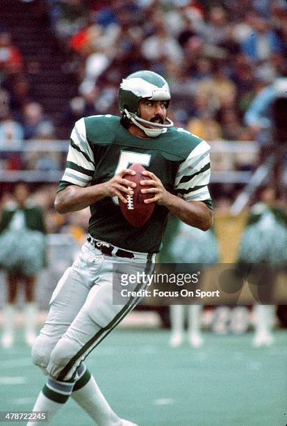 52 Philadelphia Eagles Qb Roman Gabriel Stock Photos, High-Res Pictures,  and Images - Getty Images