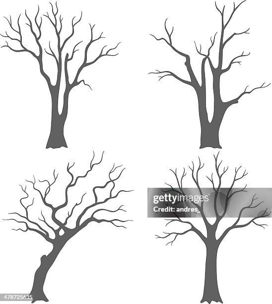 baum silhouetten - kahler baum stock-grafiken, -clipart, -cartoons und -symbole