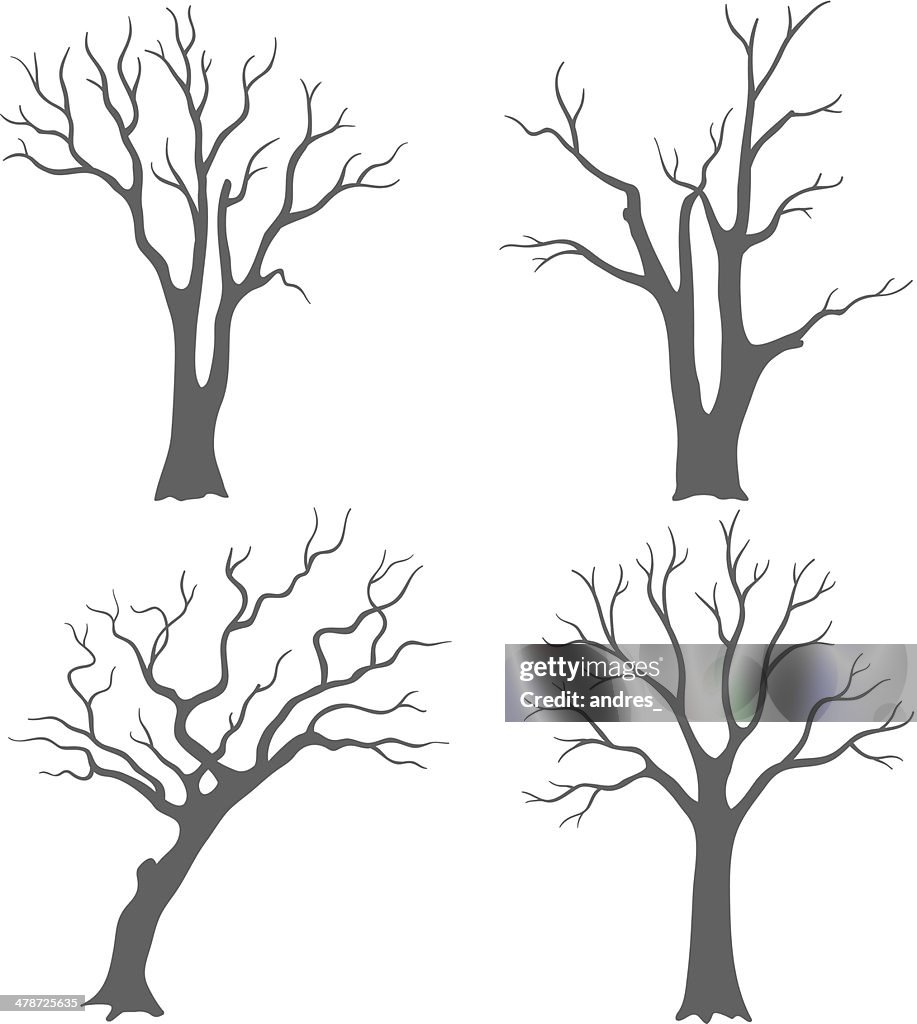 Tree silhouettes