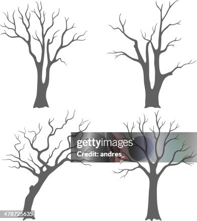 Tree silhouettes Tree silhouettes