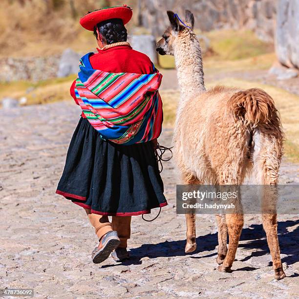 peruvian girl wearing national clothing posing with llama near cuzco - pisac stock pictures, royalty-free photos & images