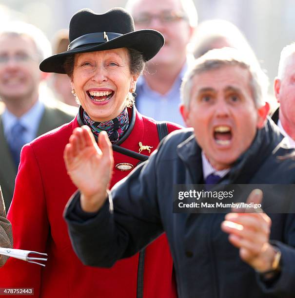 Princess Anne, The Princess Royal watches the racing alongside a cheering racegoer as she attends Day 4 of the Cheltenham Festival at Cheltenham...