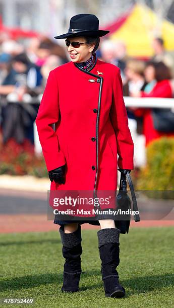 Princess Anne, The Princess Royal attends Day 4 of the Cheltenham Festival at Cheltenham Racecourse on March 14, 2014 in Cheltenham, England.