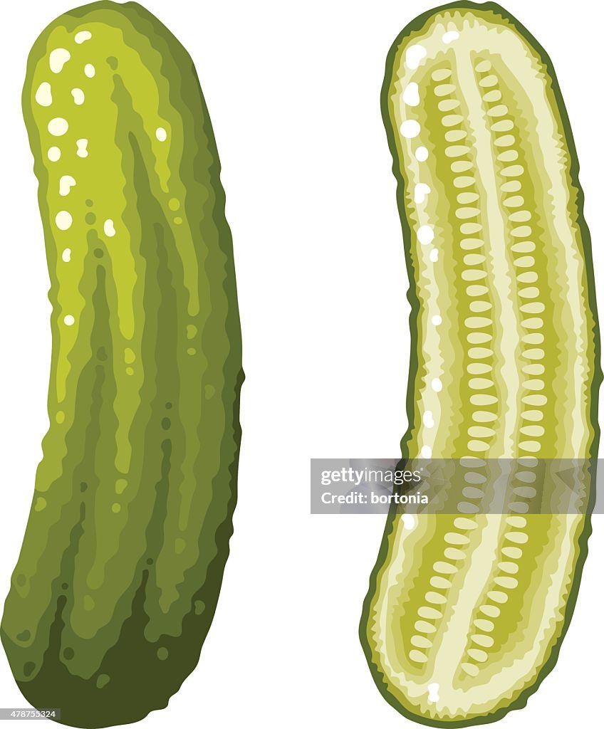 Verde de picles com endro, integral e fatias de ícones