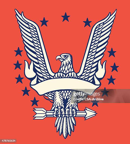 american eagle mit banner - bald eagle stock-grafiken, -clipart, -cartoons und -symbole