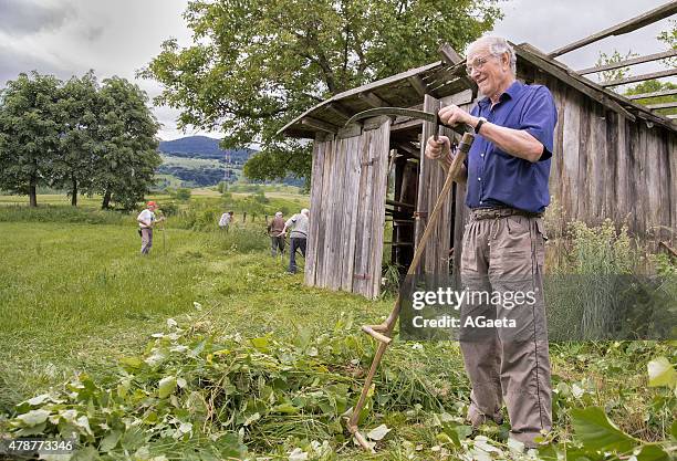 un uomo affila la falce, o radic, bósnia erzegovina ed - solo un uomo imagens e fotografias de stock