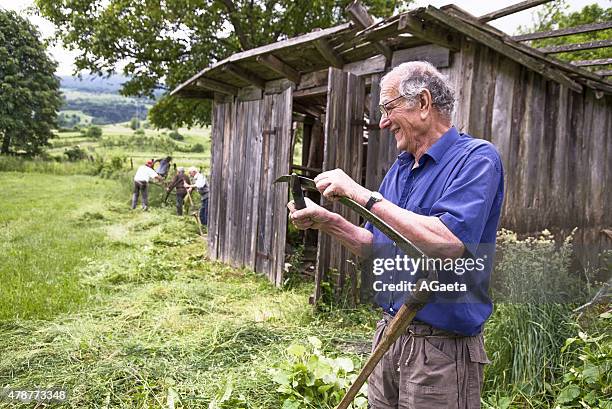 un uomo affila la falce, o radic, bósnia erzegovina ed - solo un uomo imagens e fotografias de stock