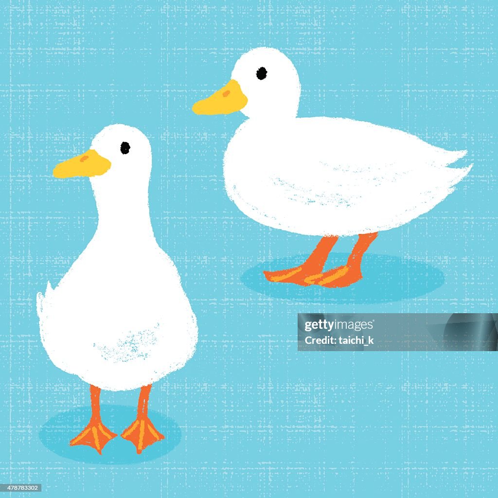 Call Duck