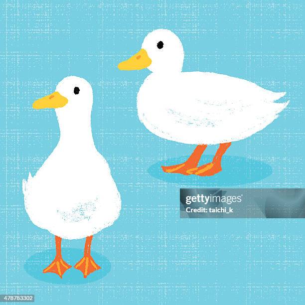 call duck - blue crayon stock illustrations
