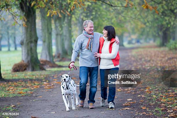 mature couple walking the dog - middle age man and walking the dog stockfoto's en -beelden