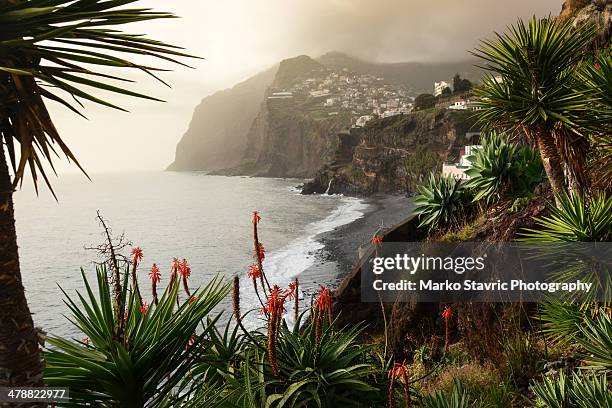 cabo girao - madeira stock pictures, royalty-free photos & images