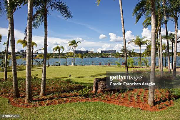 pontão do lago sul, brasília - pontão stockfoto's en -beelden